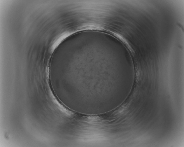 X0000103141383200808221206