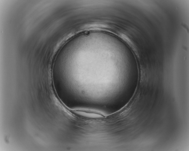 X0000103141384200808221206