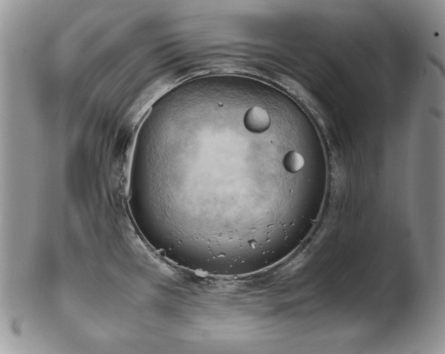 X0000103141385200808221206