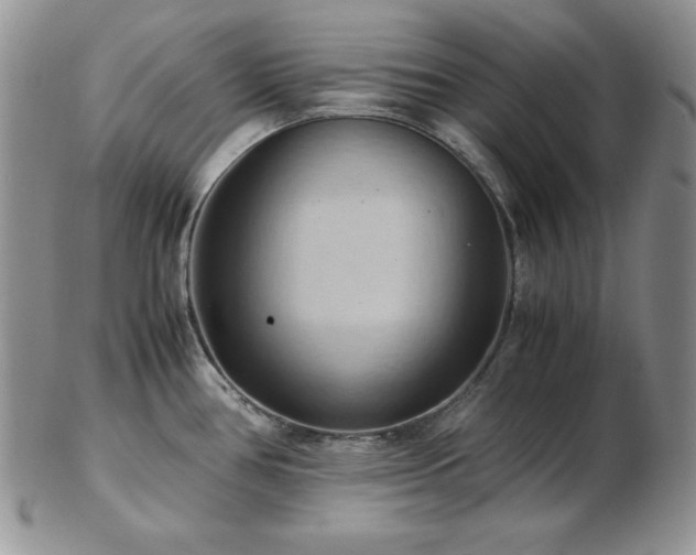 X0000103141386200808221206