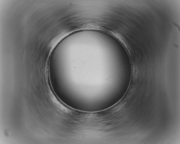 X0000103141387200808221206