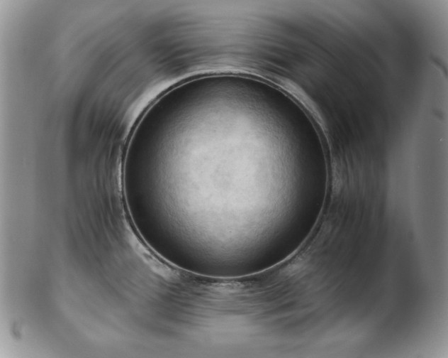 X0000103141388200808221206