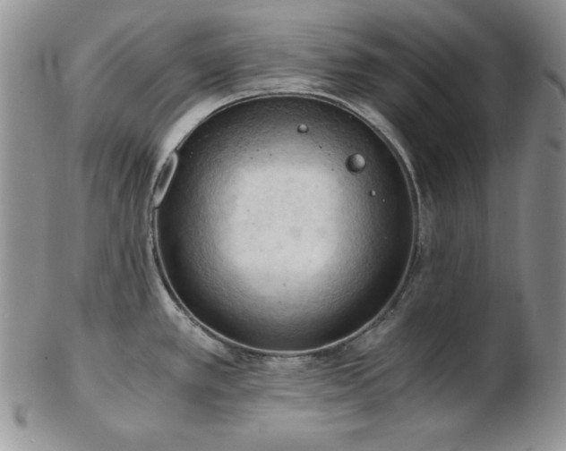 X0000103141389200808221206