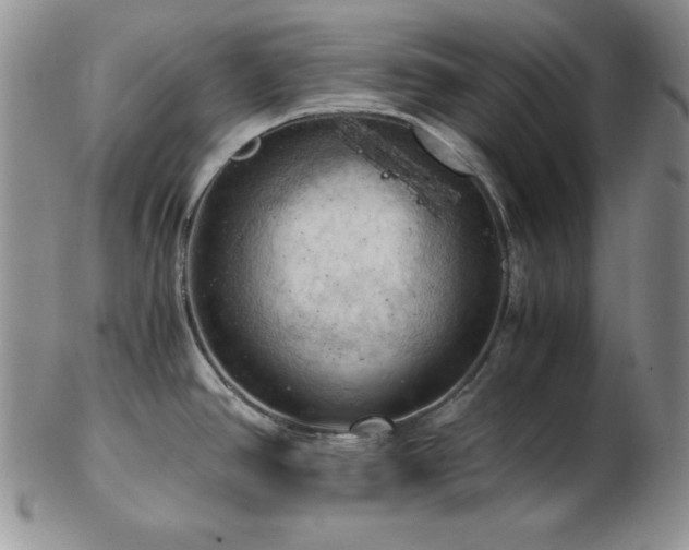 X0000103141390200808221206