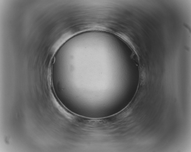 X0000103141391200808221206