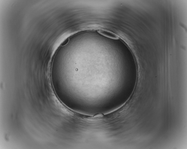 X0000103141392200808221206