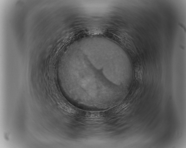 X0000103141393200808221206