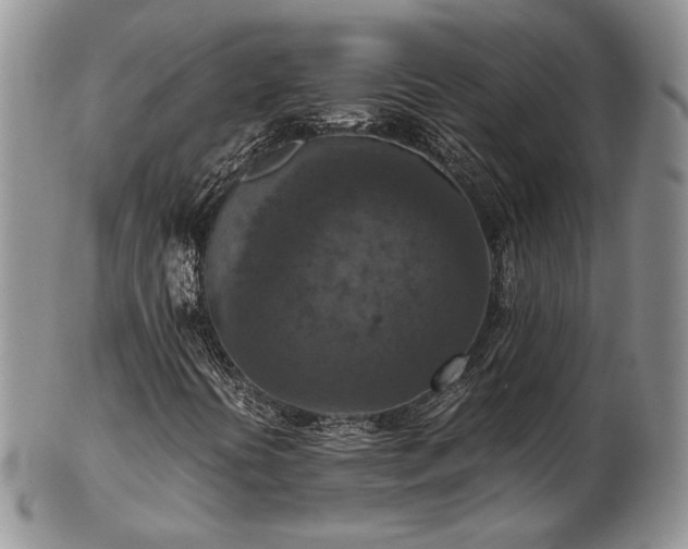 X0000103141394200808221206