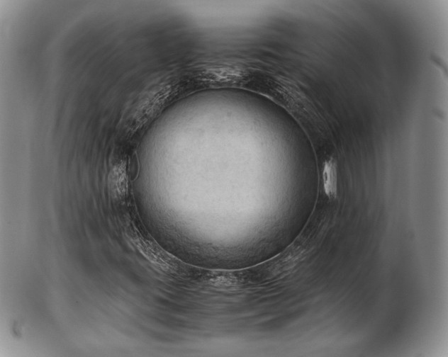 X0000103141395200808221206