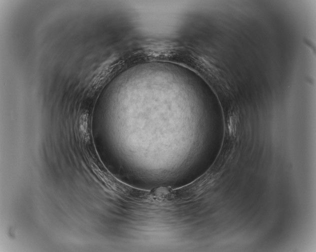 X0000103141396200808221206