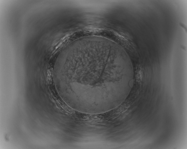 X0000103141397200808221206