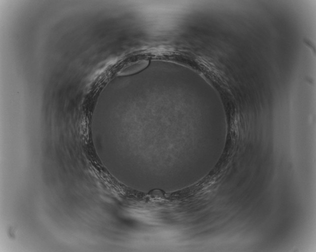 X0000103141398200808221206