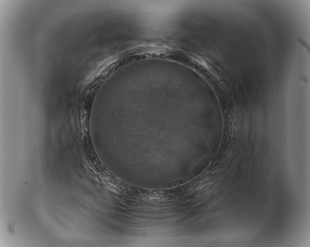 X0000103141399200808221206