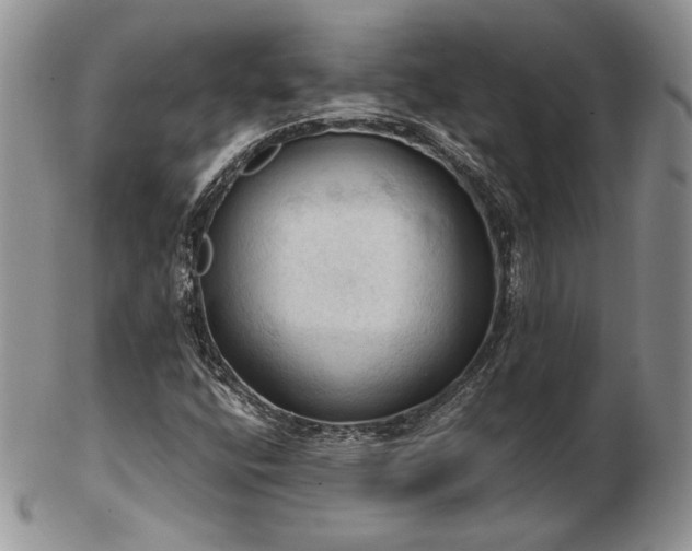 X0000103141400200808221206