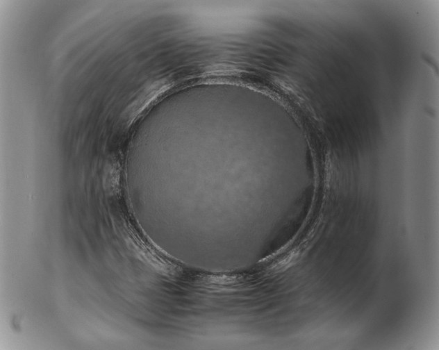 X0000103141401200808221206