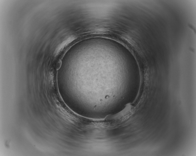 X0000103141402200808221206