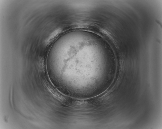 X0000103141403200808221206