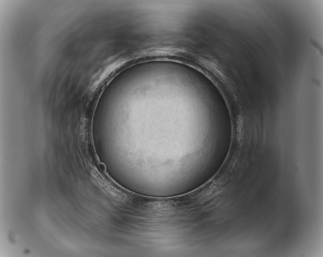 X0000103141404200808221206