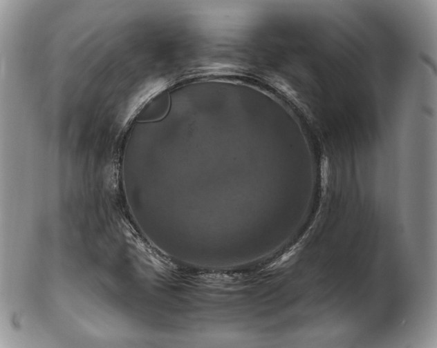 X0000103141405200808221206