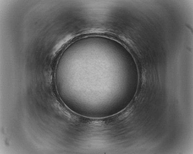 X0000103141406200808221206