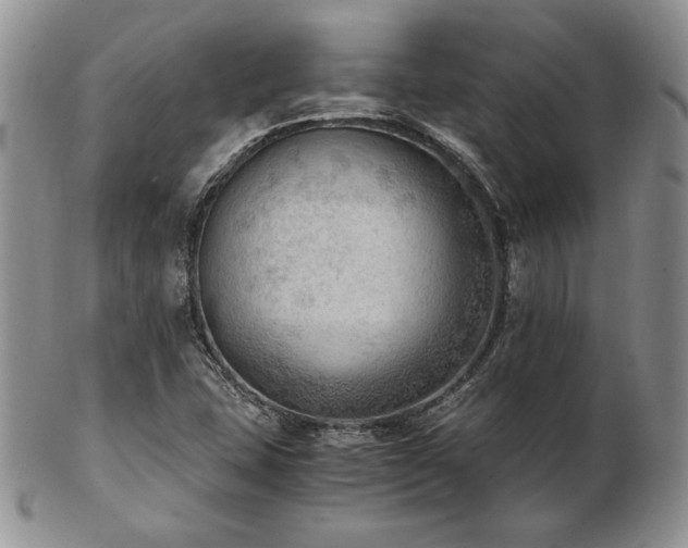 X0000103141407200808221206