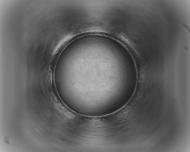 X0000103141408200808221206