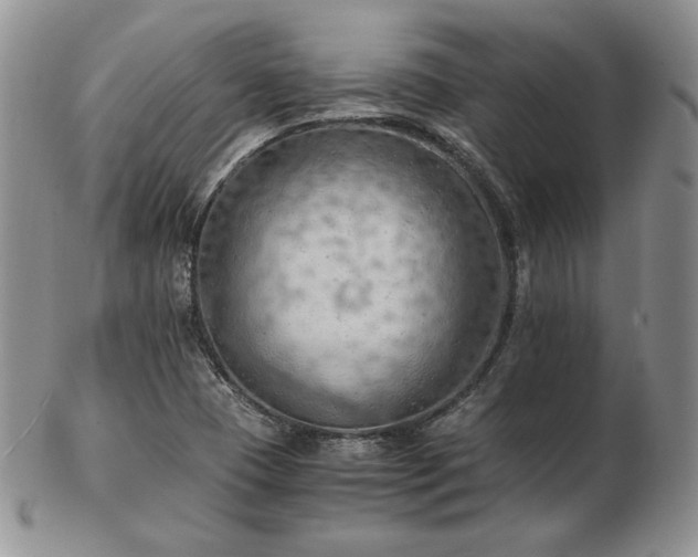 X0000103141409200808221206