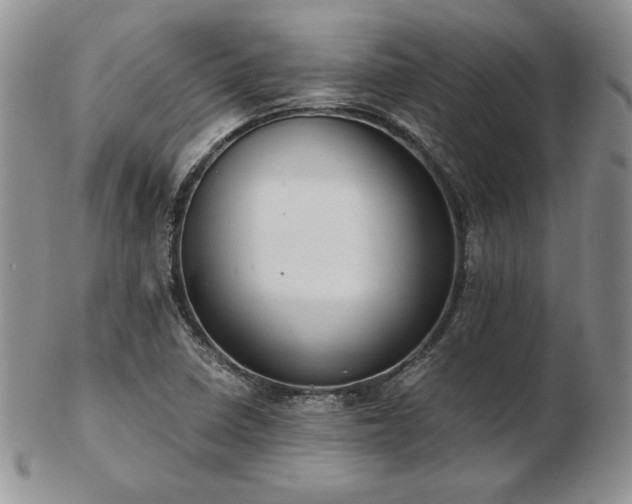 X0000103141410200808221206