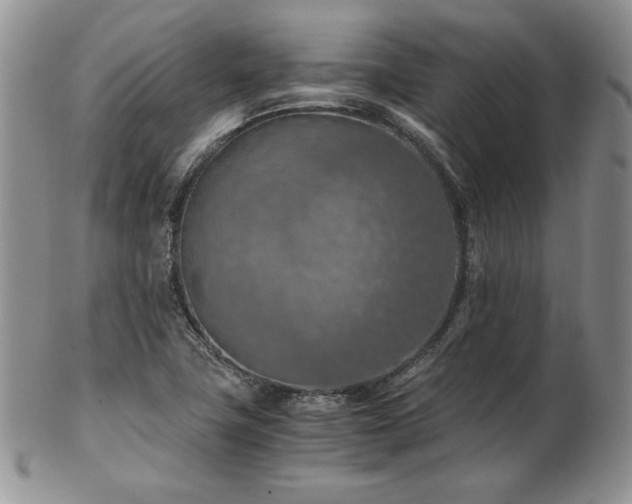 X0000103141411200808221206