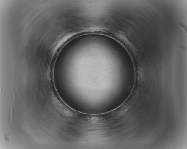 X0000103141412200808221206