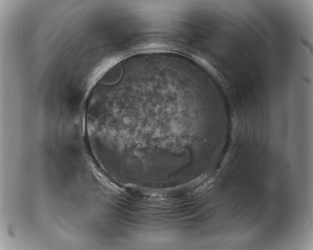 X0000103141413200808221206