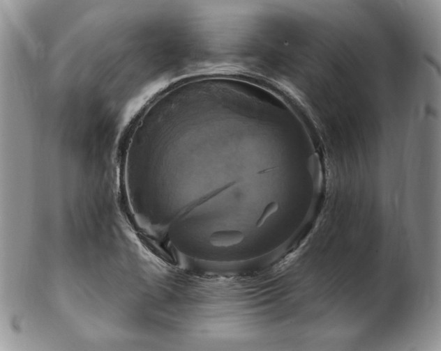 X0000103141414200808221206