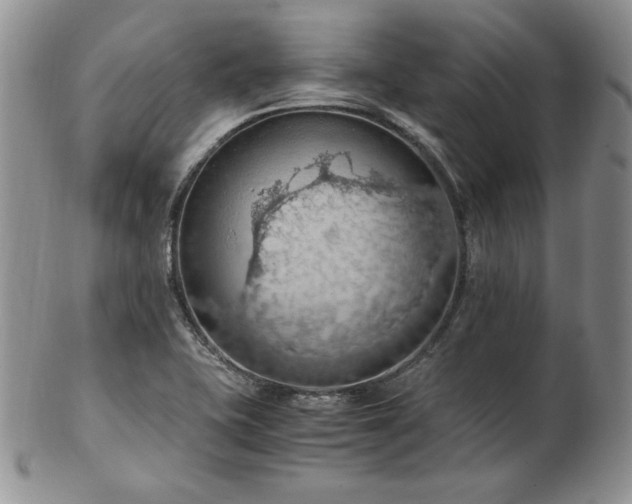 X0000103141415200808221206