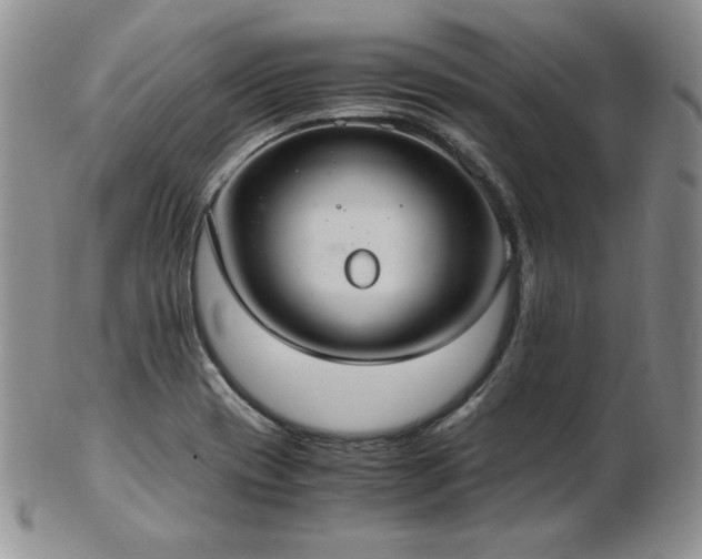 X0000103141417200808221206