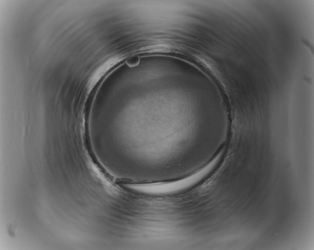 X0000103141418200808221206