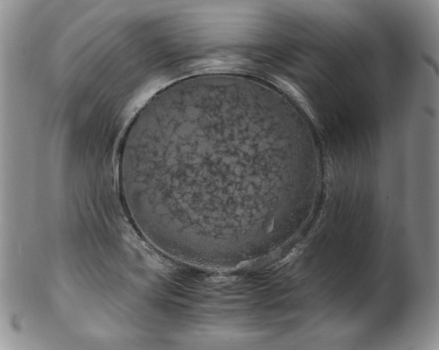 X0000103141419200808221206