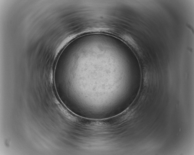 X0000103141420200808221206