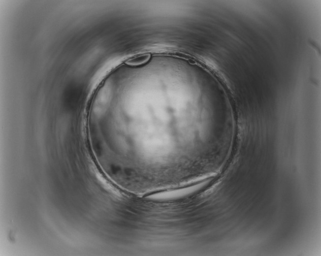 X0000103141421200808221206