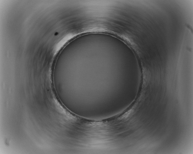 X0000103141422200808221206