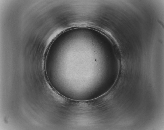 X0000103141424200808221206