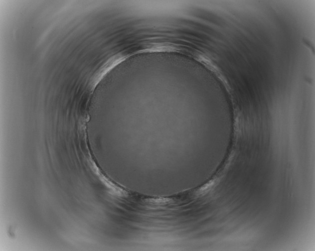 X0000103141425200808221206