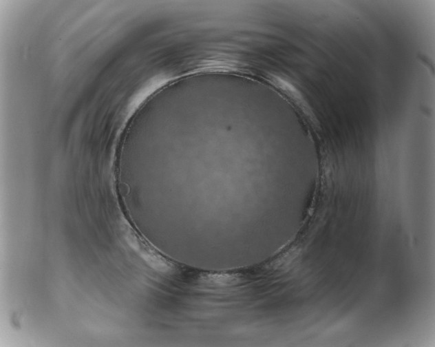 X0000103141427200808221206