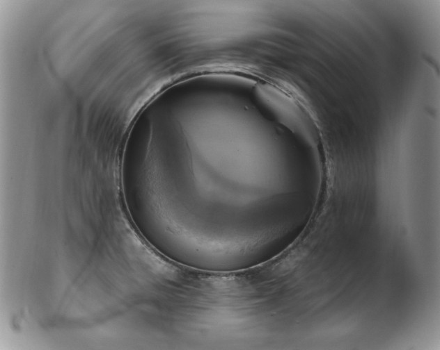 X0000103141428200808221206