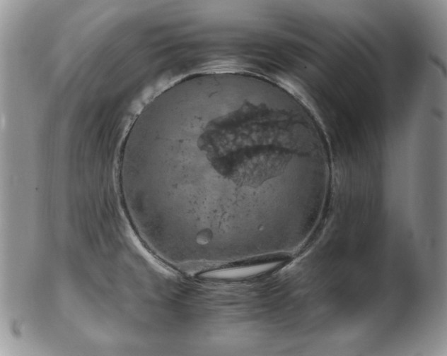 X0000103141429200808221206