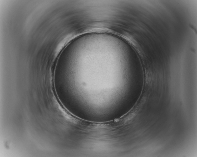 X0000103141430200808221206