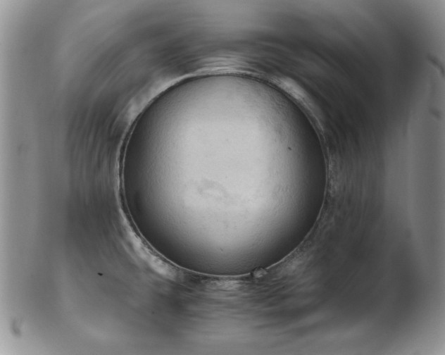 X0000103141431200808221206