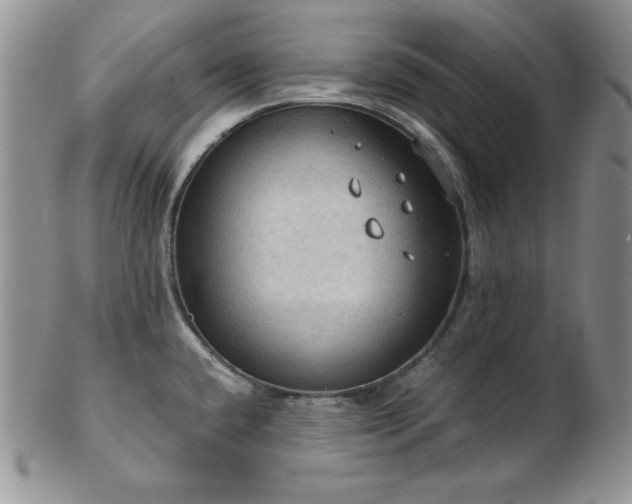 X0000103141432200808221206