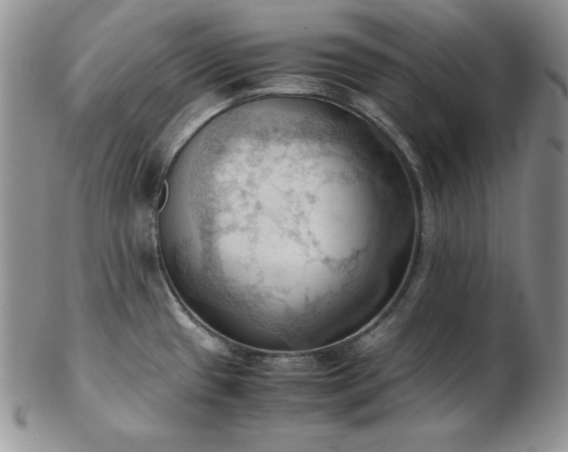 X0000103141433200808221206