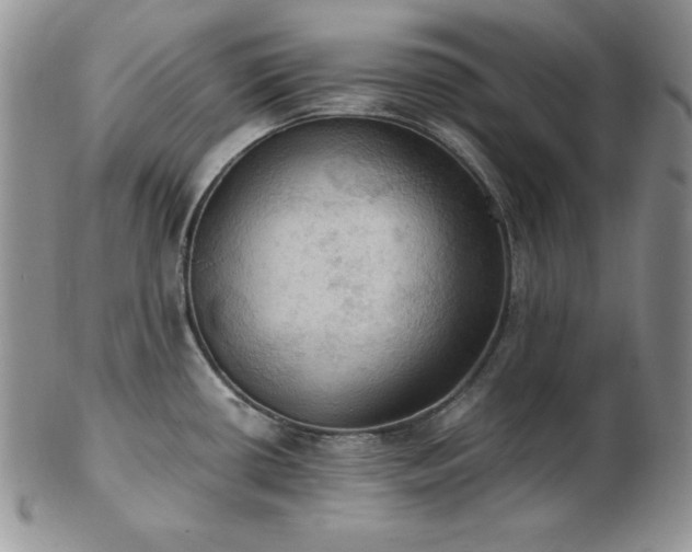 X0000103141434200808221206