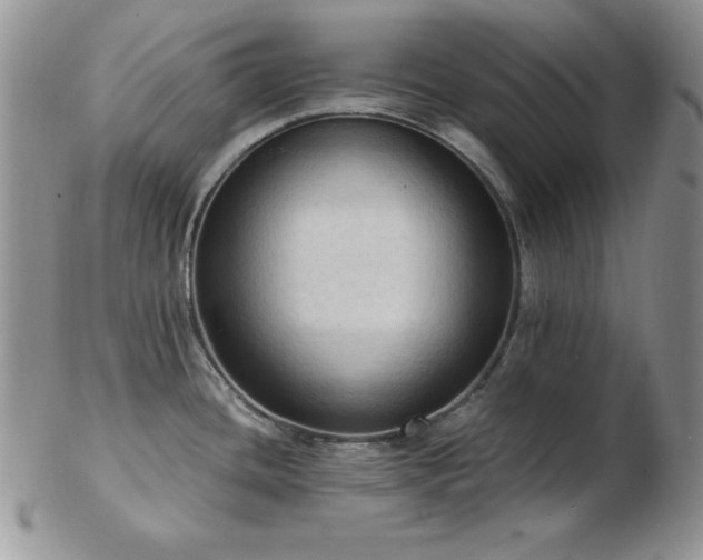 X0000103141436200808221206